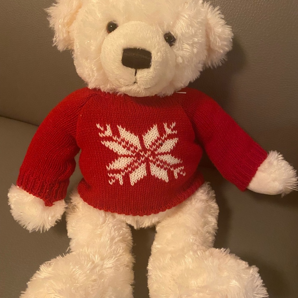 Teddy Bear Plush